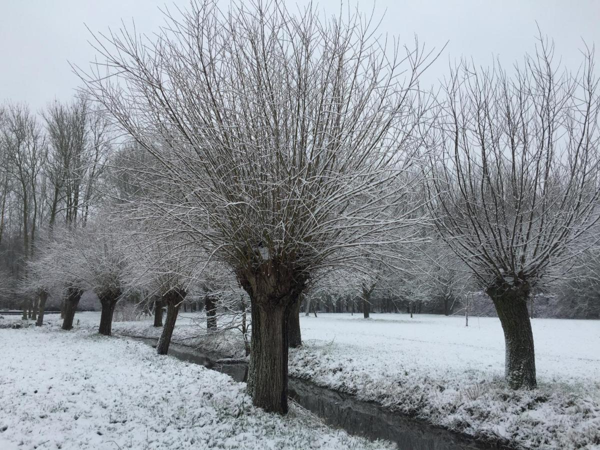 Het Zwaantje Villa Londerzeel Bagian luar foto